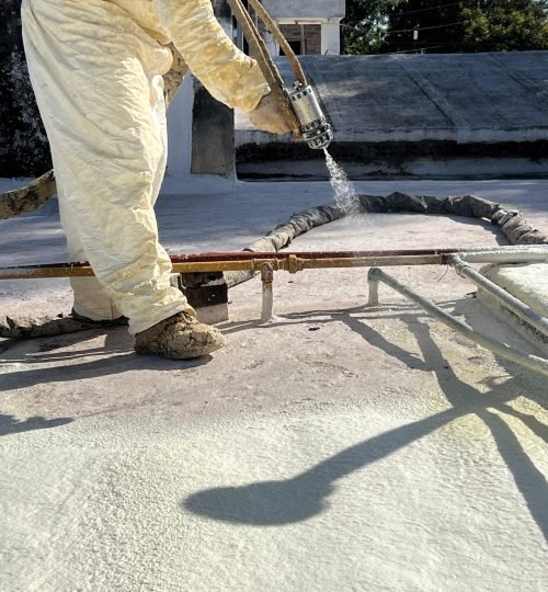 WhatsApp Image 2025-05-20 at 20.58.44